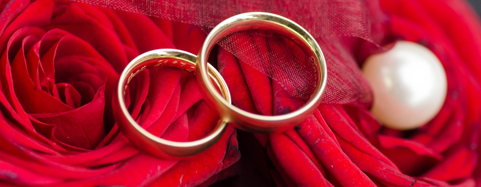 Ringe Header Rot